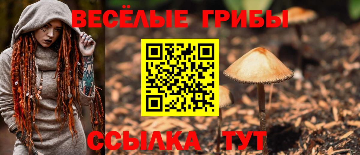Псилоцибиновые грибы GOLDEN TEACHER Владикавказ